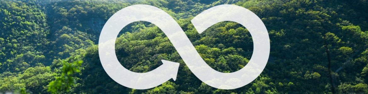 Sesión informativa online impartida por Deloitte