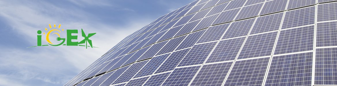 Webinar iGEX