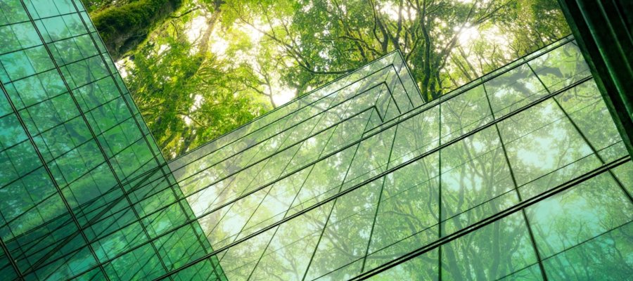 Empresas y materiales circulares